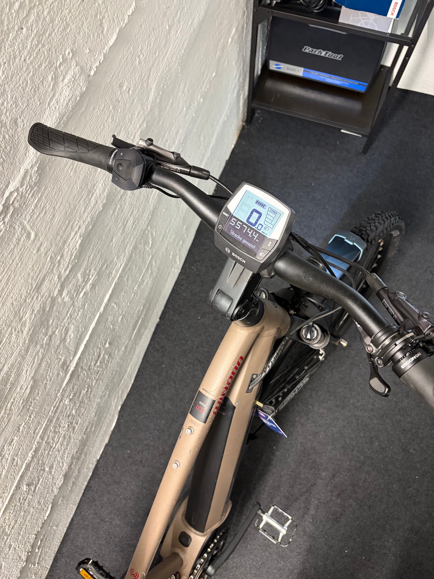 Winora Sinus iX-12 | M (48cm)